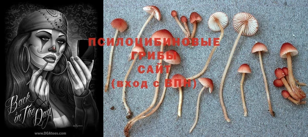 бутират Вяземский