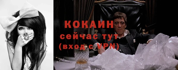гидра Горно-Алтайск