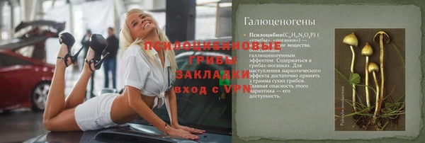 сатива Верея