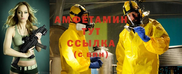 сатива Верея