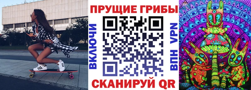 Псилоцибиновые грибы Psilocybe  где найти   hydra онион  Дно 